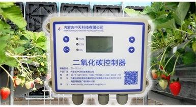 中國北方CO?新技術(shù)，將促進(jìn)農作物光合作用和光合產(chǎn)物的生成