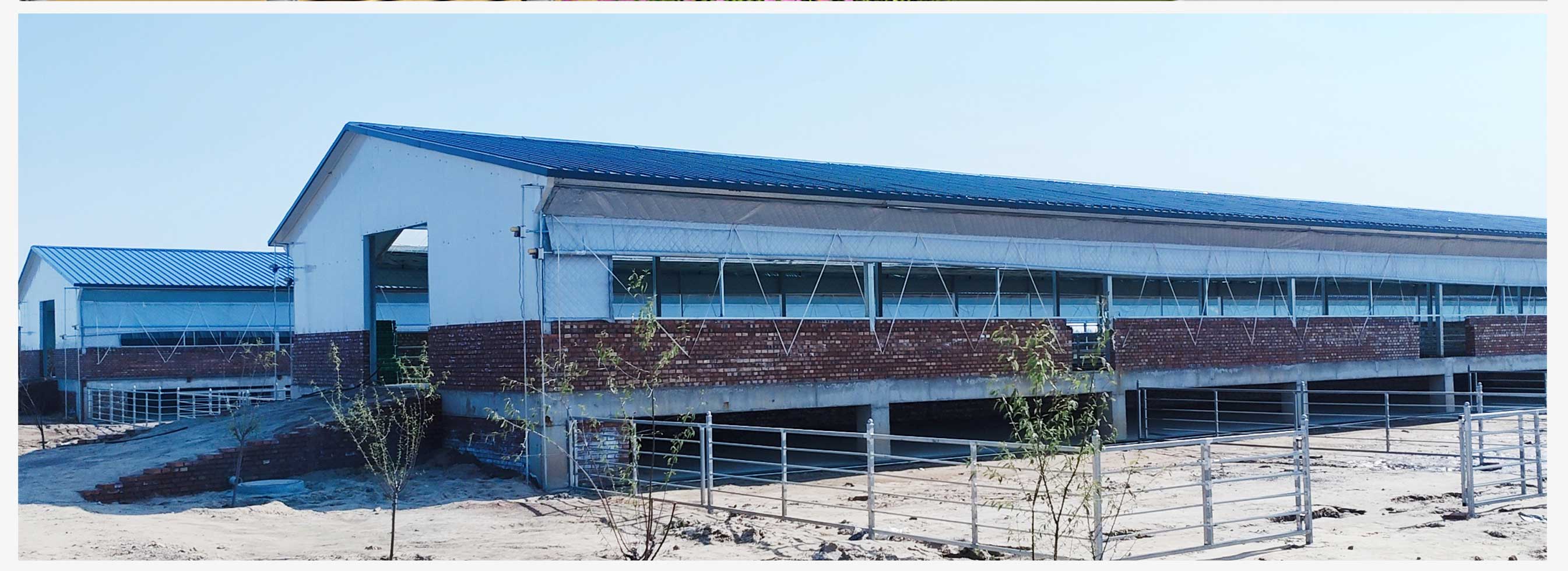 土默特右旗現代智慧設施肉羊產(chǎn)業(yè)技術(shù)創(chuàng  )新園區(園區版)_07.jpg